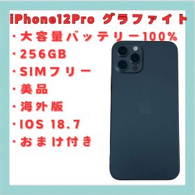iPhone 12 Pro 256GB SIMフリー 海外版 美品 送料無料