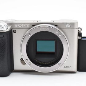 ■ 特上美品 ■ ソニー SONY α6000 グラファイトシルバー 《動作確認済・バッテリー付》 ILCE-6000 ミラーレス一眼 カメラ ボディ #A0937