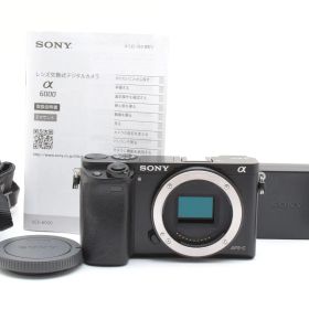 ★極上★ ソニー SONY α6000ボディ ILCE-6000 B ブラック 《ショット数1771回・付属品多数！》★完動品★ #14P74A601247