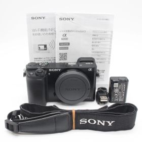 1028ショット！嬉しい説明書付き！■ほぼ新品■ SONY α6000 ボディ ブラック