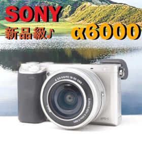 SONY α6000 パワーズームレンズキット ミラーレス一眼
