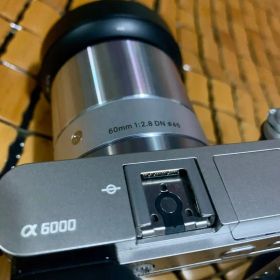 Sony α6000 ＋sigma art 60mm f/2.8セット