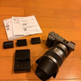 SONY α6000 ミラーレス一眼 E 18-200mm SEL18200