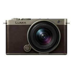 【長期5年保証付】パナソニック Panasonic LUMIX S9 DC-S9N-N チタンゴールド デジタル一眼カメラ 広角ズームレンズキット DCS9NN