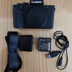 訳あり Panasonic パナソニック LUMIX ルミックス DC-G100