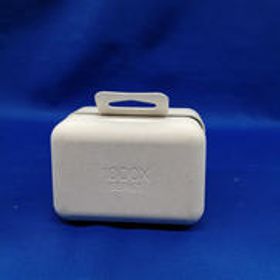 ワイヤレスイヤホン WF-1000XM4 SONY