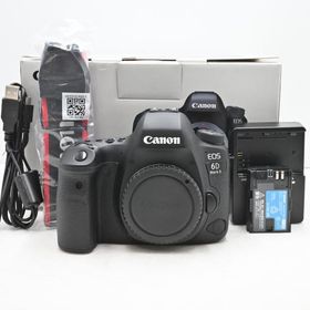 シャッター回数『4191』Canon デジタル一眼レフカメラ EOS 6D Mark II ボディ
