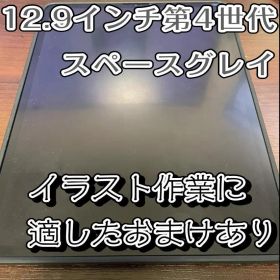 iPad Pro 12.9インチ スペースグレイ（第4世代）128GB