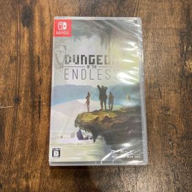 ダンジョン オブ ジ エンドレス Switch版