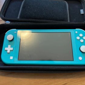 Switch Lite本体(消毒・動作確認済み)