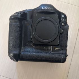 EOS 1DSジャンク