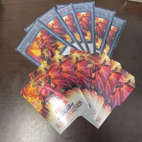 ブレイジングドミニオン トークン セパレート 各6枚