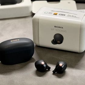 WF-1000XM5 中古 10,200円 | ネット最安値の価格比較 プライスランク