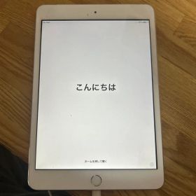 iPad mini 3 16GB docomo ○判定あり 初期化済み