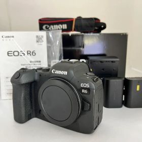 ⭐︎美品⭐︎ CANON EOS R6