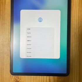 ★ iPad Pro 11インチ 第二世代 WiFi+Celler 256GB