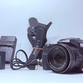 LUMIX DMC-FZ200 動作確認済 ネオ一眼 デジカメ 明るいF2.8