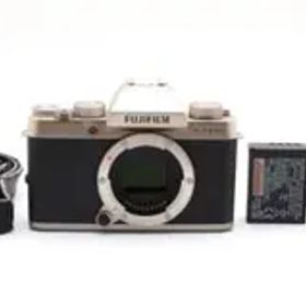 FUJIFILMX-T100 シャンパンゴールド0485