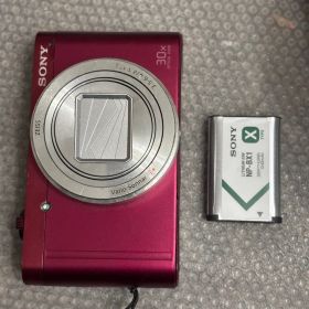 SONY DSC-WX500 12101