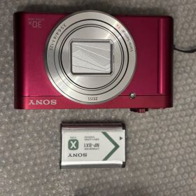 SONY DSC-WX500 12172