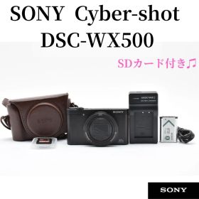 Sony Cyber-shot DSC-WX500 レザーケース付 2828