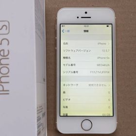 Apple iPhone 5s 64GB ドコモSIMロック品
