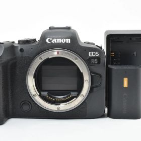 シャッター回数129000回以下！■美品■ CANON EOS R6 ボディー