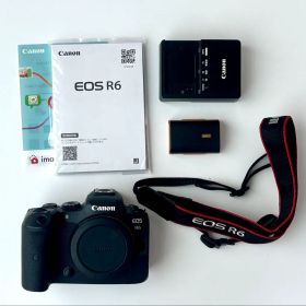 EOS R6ボディ オマケ（600ex&SD）付き