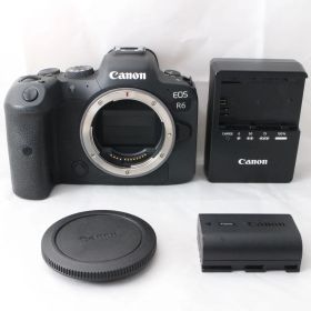 ☆美品☆ Canon EOS R6 ボディ ミラーレス一眼カメラ キヤノン #4474