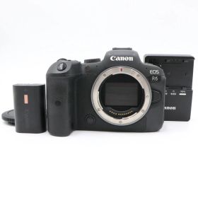 【極上品】CANON キャノン EOS R6 ショット数50,000枚!