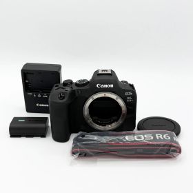 【3000ショット以下】キヤノン ミラーレスカメラ EOS R6 Mark II