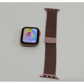 Apple Watch SE 第1世代/A2351〈MKQ03J/A〉 (5)(その他)