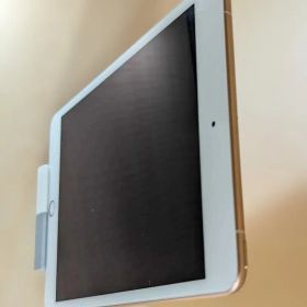 iPad mini5 Wi-Fi+Cellular 64GB ゴールド