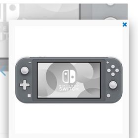 任天堂Switchライト グレー (家庭用ゲーム機本体)