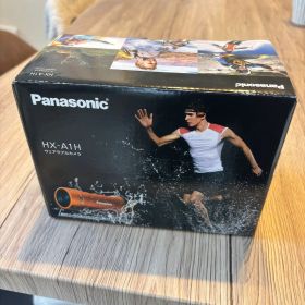 オプション付 Panasonic HX-A1H 美品