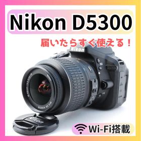 初心者おすすめ❣️ Nikon D5300 Wi-Fi搭載 自撮り◎ スマホ転送