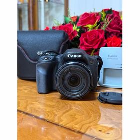 キヤノン(Canon)のスポーツシーンに最適★Canon PowerShot sx530 HS★(デジタル一眼)