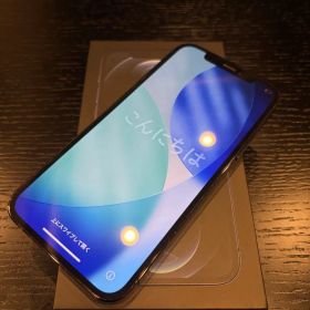 【即日発送】iPhone12Pro 256GB [SIMフリー]