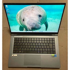 Galleria ゲーミングノート Corei7, RTX3070, 240Hz(ノートPC)