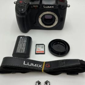 【動作確認済】Panasonic LUMIX DC-GH5M2 ボディ 良品