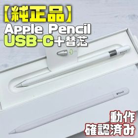 動作確認済み【純正品】Apple Pencil USB-Cタイプ 替え芯セット