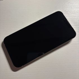 iPhone 13 Pro 256GB シルバー SIMフリー 極美品