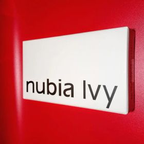 新品未開封☆ZTE nubia Ivy 128GB [simフリー]ブラック