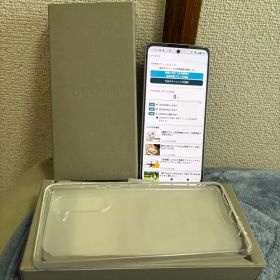 IIJmio限定モデル arrows We2 Plus M06シャンパンシルバー