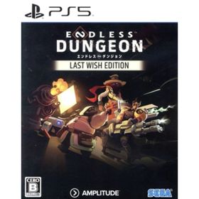 ENDLESS Dungeon Last Wish Edition／ＰＳ５(家庭用ゲームソフト)