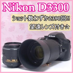 ⭐️ダブルレンズセット⭐️Nikon D3300 ニコン デジタル一眼レフ
