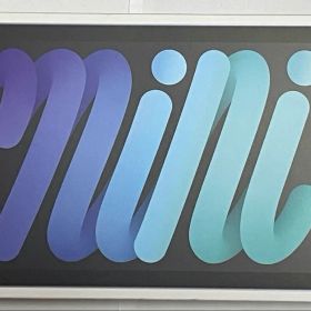 美品! iPad mini (第6世代) 256GB スペースグレイ Wi-Fi