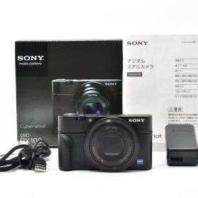 SONY DSC-RX100 初代 0306