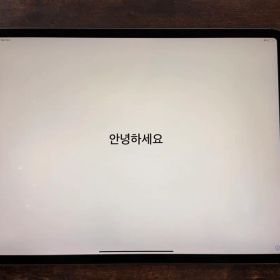 iPad Pro12.9 第3世代 256GB Cellular