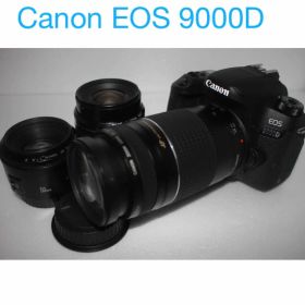 一眼レフカメラCanon EOS 9000D標準&望遠&単焦点レンズセット